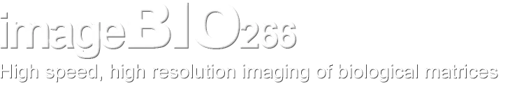 imageBIO266 - High speed, high resolution imaging of biological matrices